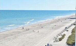 Beach - OCEANFRONT Condo right in Myrtle Beach! (Myrtle Beach)
