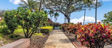 A paved pathway with a hopscotch game, surrounded by lush greenery and palm trees.