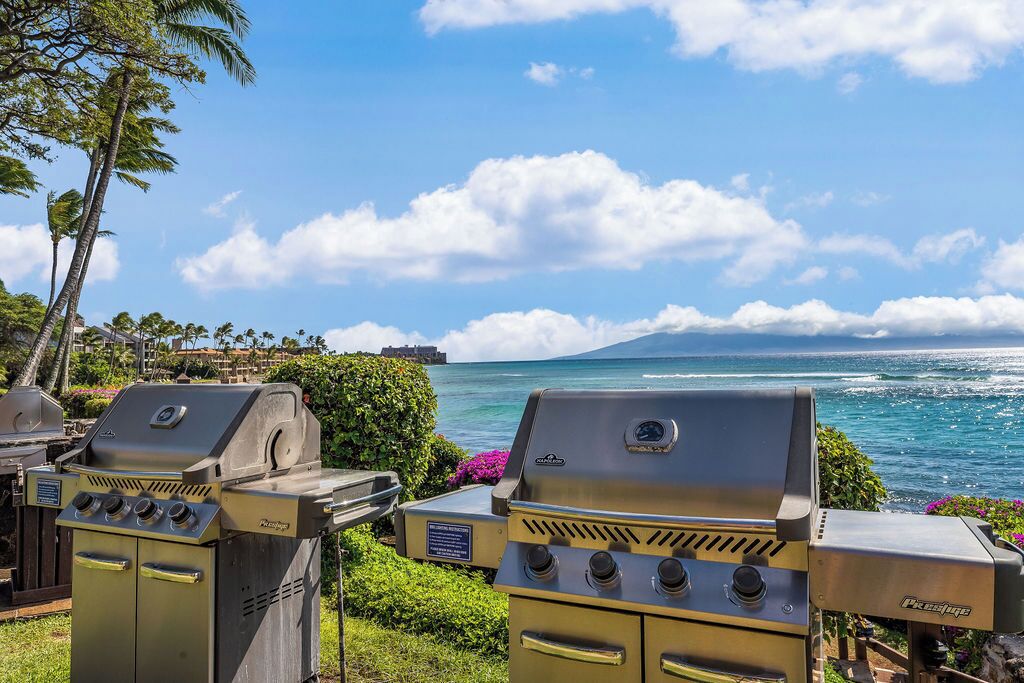 Deux barbecues extérieurs avec vue sur l’océan et les montagnes.