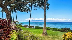 Un jardin luxuriant offrant une vue sur l’océan et une montagne à l’horizon.