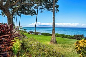 Property grounds - Gorgeous Views- Kuleana 514 1 bed/1ba condo (lahaina)