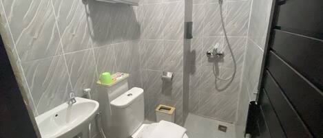 Un baño con lavamanos, inodoro y ducha.
