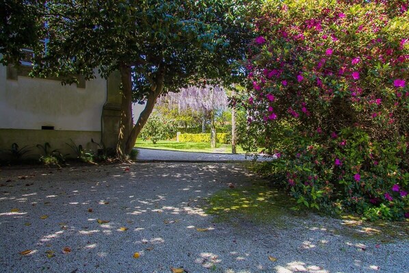 House | 5 bedrooms, Internet