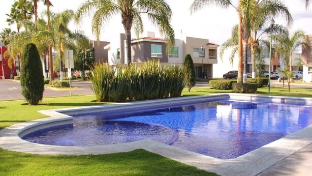 A swimming pool with a curved edge, surrounded by well-maintained grass and palm trees. - Family Residencia Galicia (La Tijera)