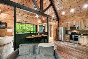 Smart TV, fireplace, video library