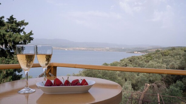 Une table avec deux verres de vin blanc et un bol de fruits rouges, donnant sur un paysage pittoresque.
