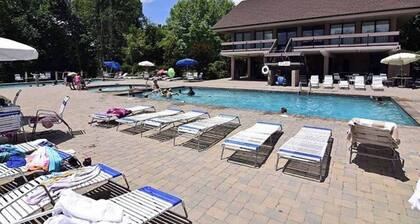 Mountain Dream & Song