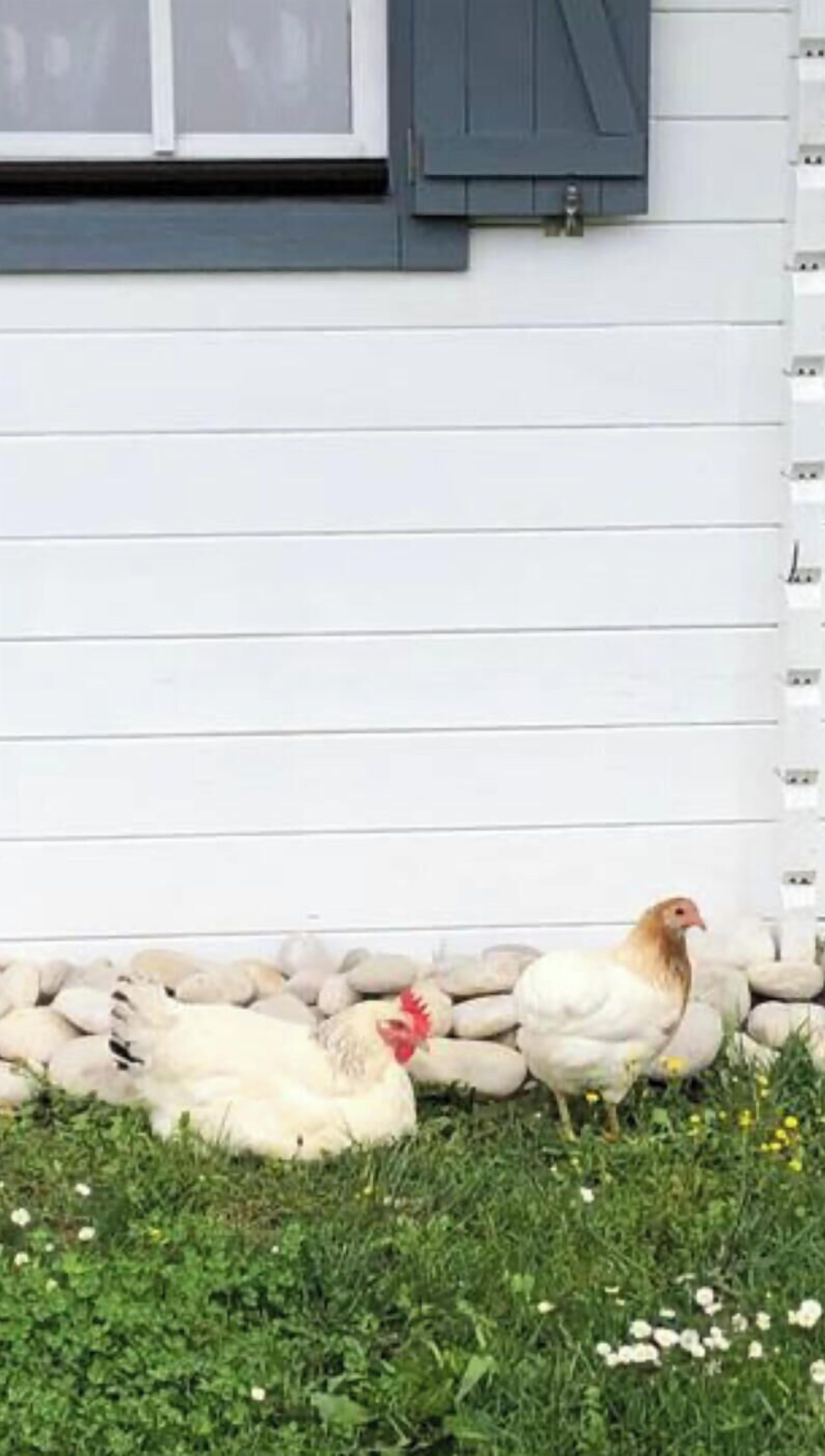 Details aan de buitenkant