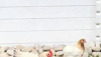 Details aan de buitenkant