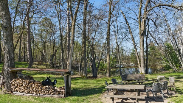 Zona de picnic con bancos y sillas, rodeada de árboles y un lago.