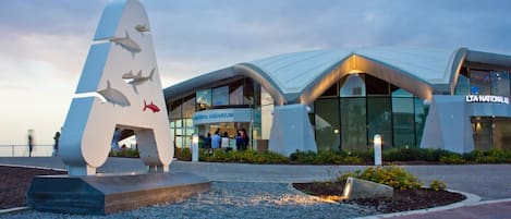 A modern building with a glass facade and a unique shark sculpture in front.