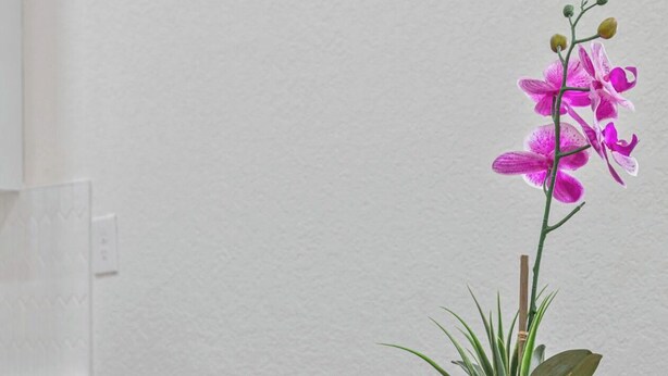 Una mesa de comedor con un jarrón blanco que contiene una orquídea rosa y una planta verde.