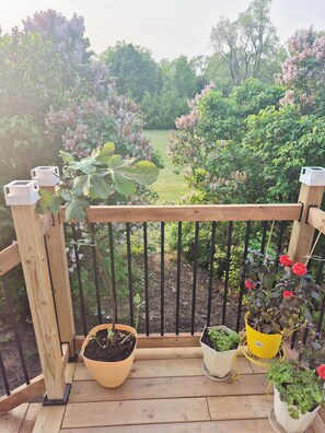 Property grounds - Issa place (Prince Edward)