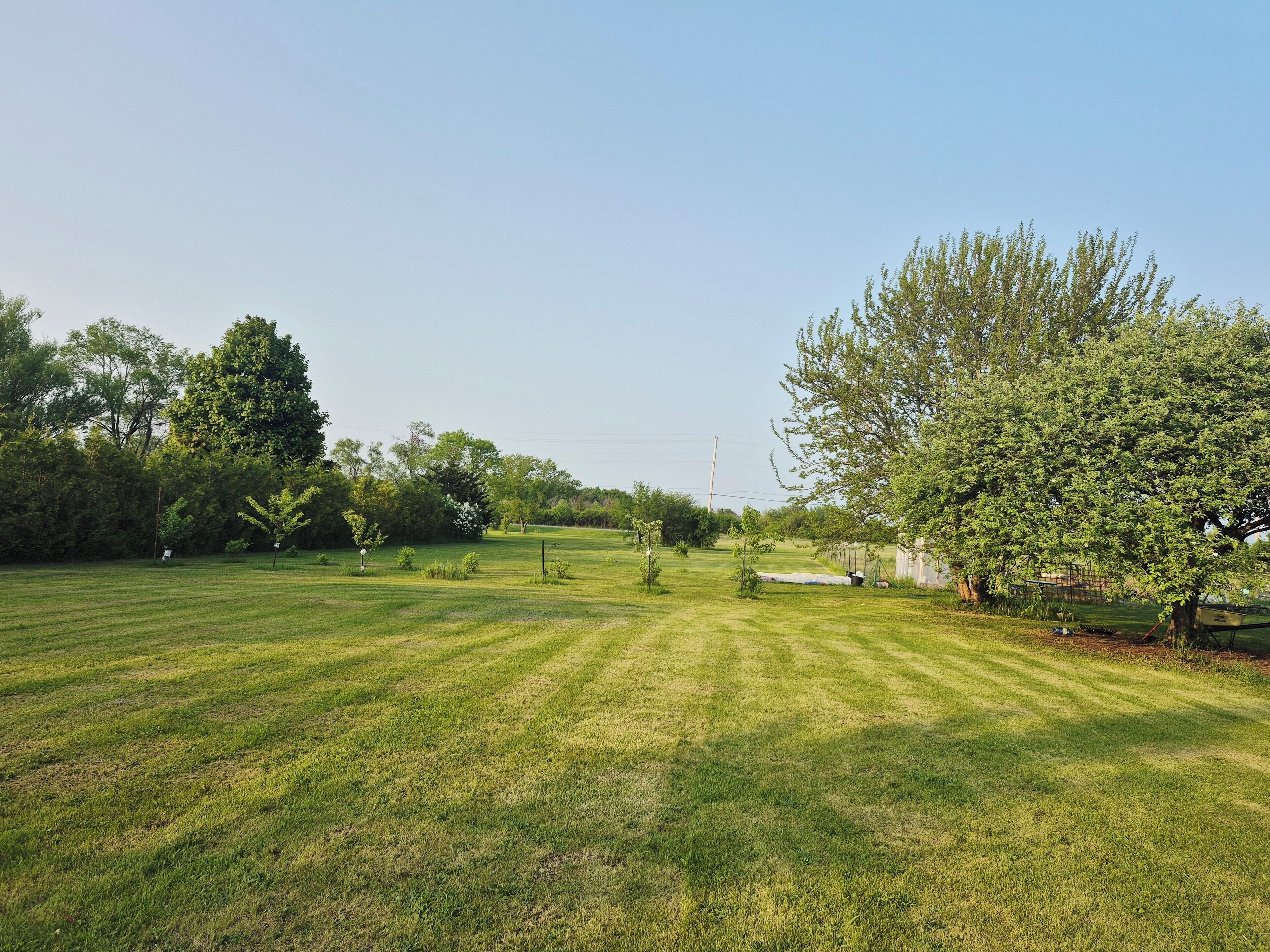 A well-maintained grassy field with trees and a clear sky.
