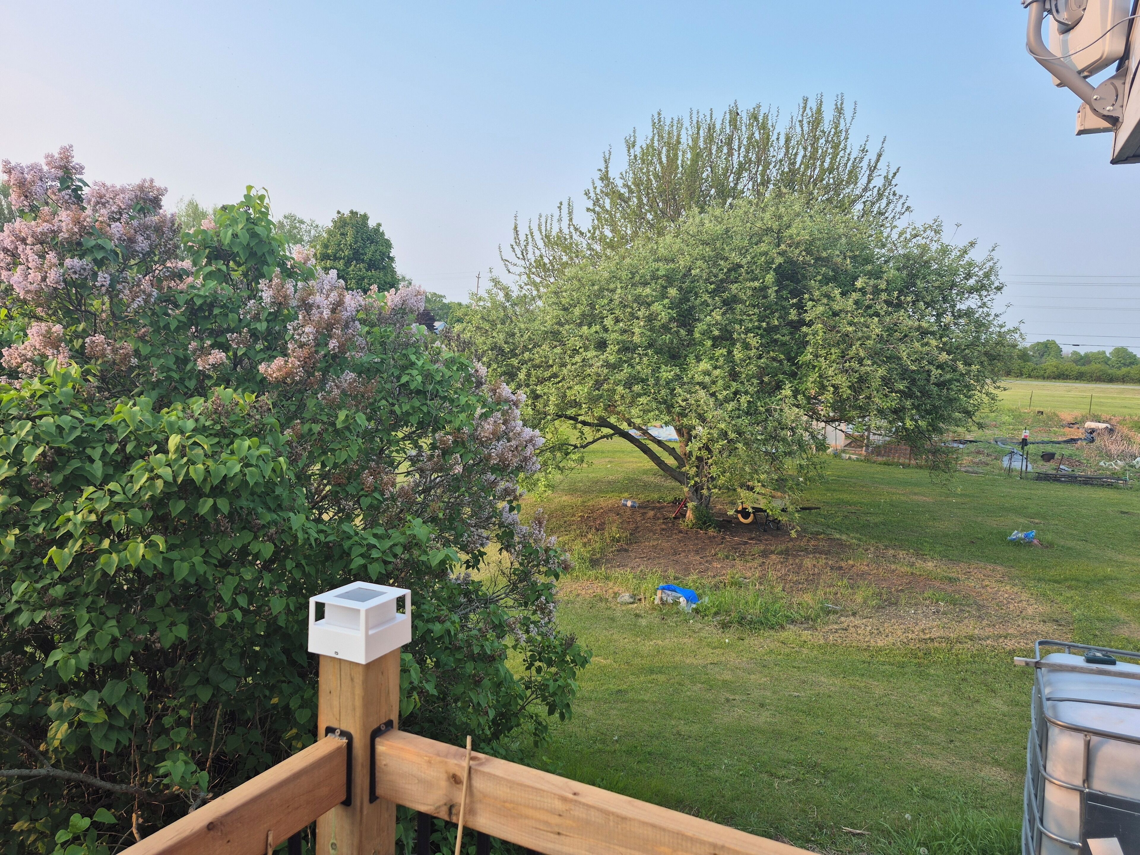 A wooden deck with a metal railing, a tree with pink flowers, and a grassy yard.