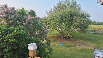 A wooden deck with a metal railing, a tree with pink flowers, and a grassy yard.