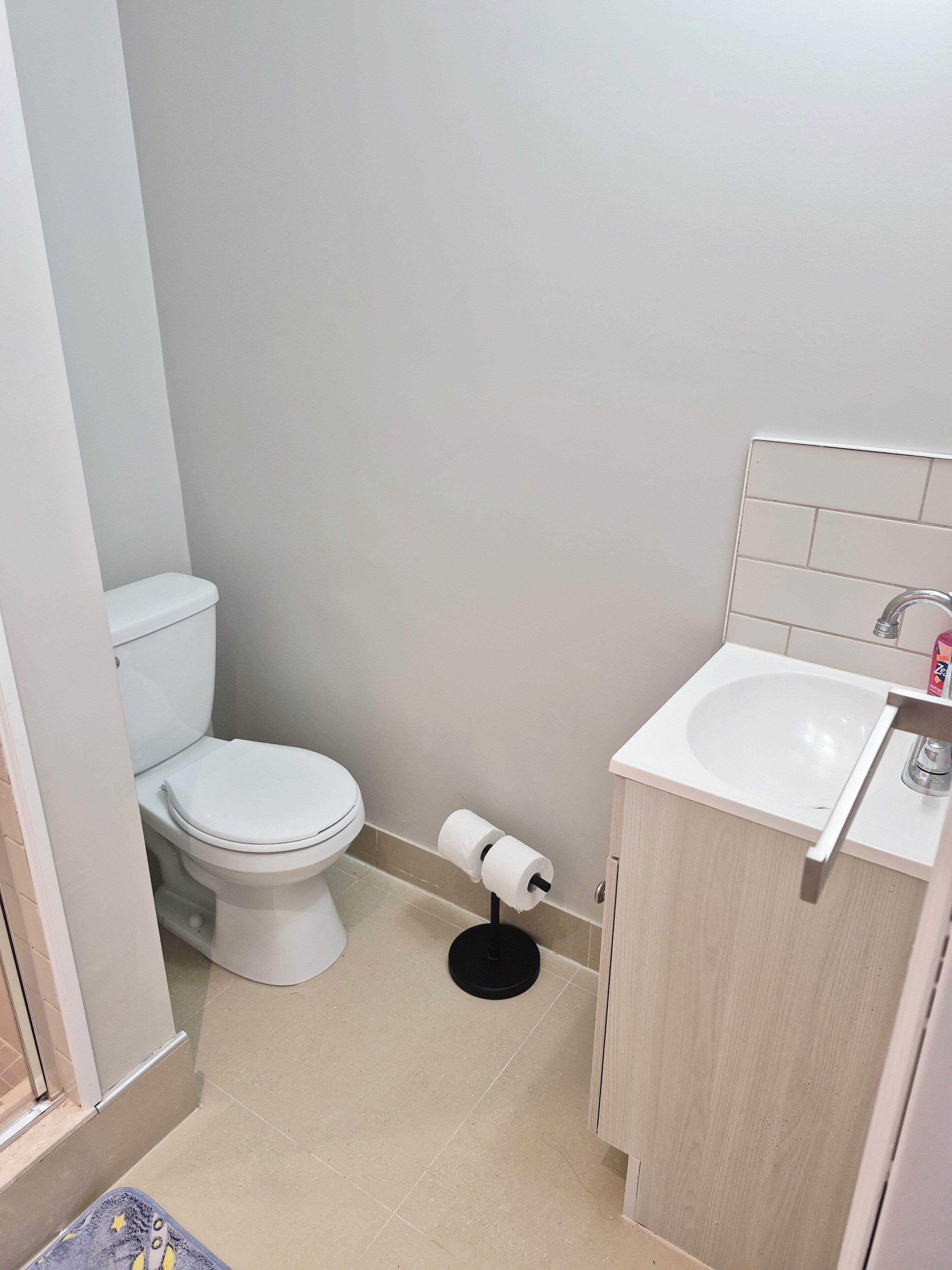 Een kleine badkamer met toilet, wastafel en toiletpapierhouder.