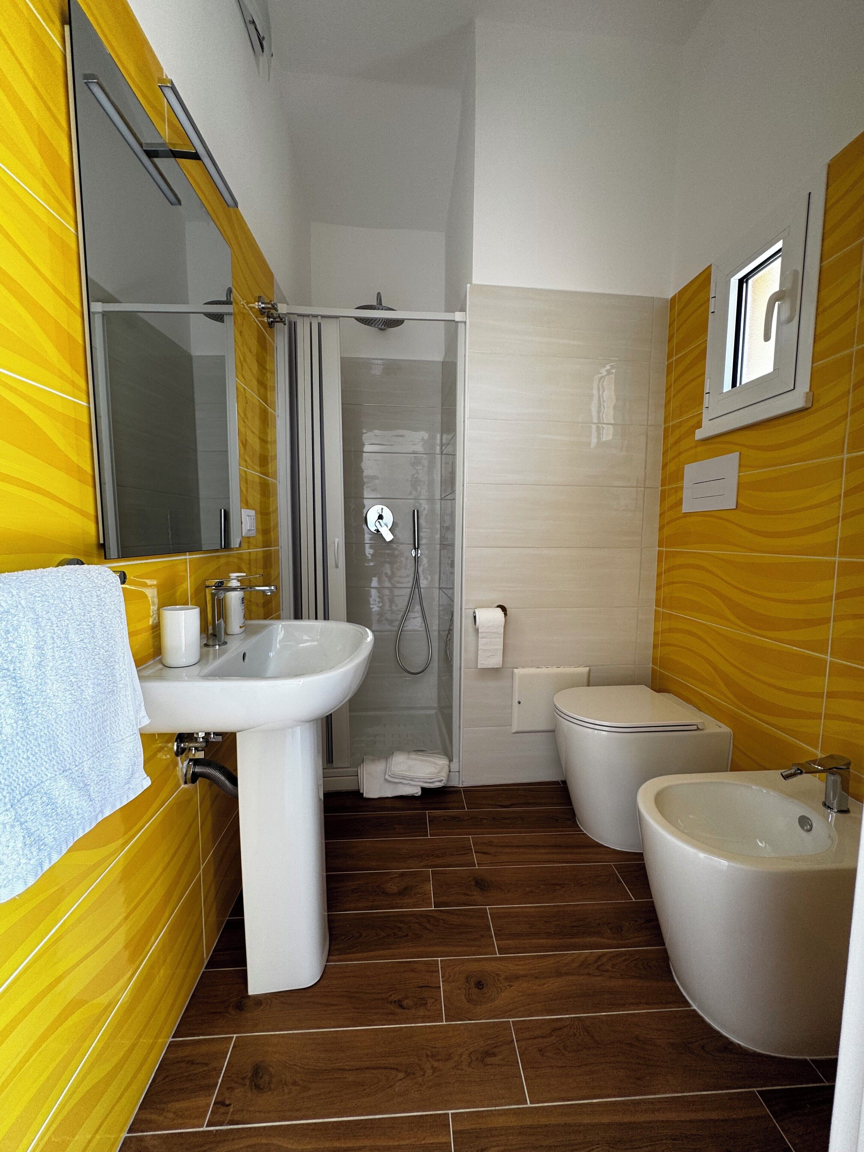 Shower, hair dryer, bidet, towels