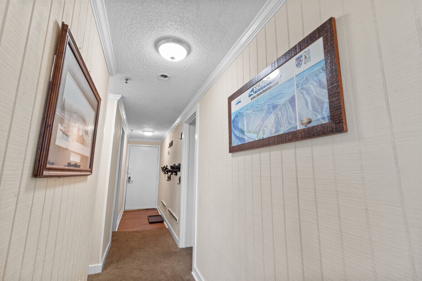 A hallway with a framed picture on the wall, a door at the end, and a carpeted floor.