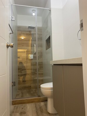 Hair dryer, towels, soap, toilet paper