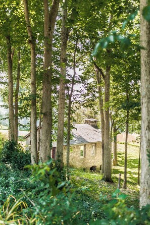 Property grounds - The River House-- Secluded, Serene, Hot tub & Firepit (Bellbrook)