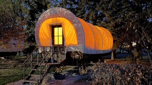 A large, orange, dome-shaped tent with a window, surrounded by trees and a gravel path.