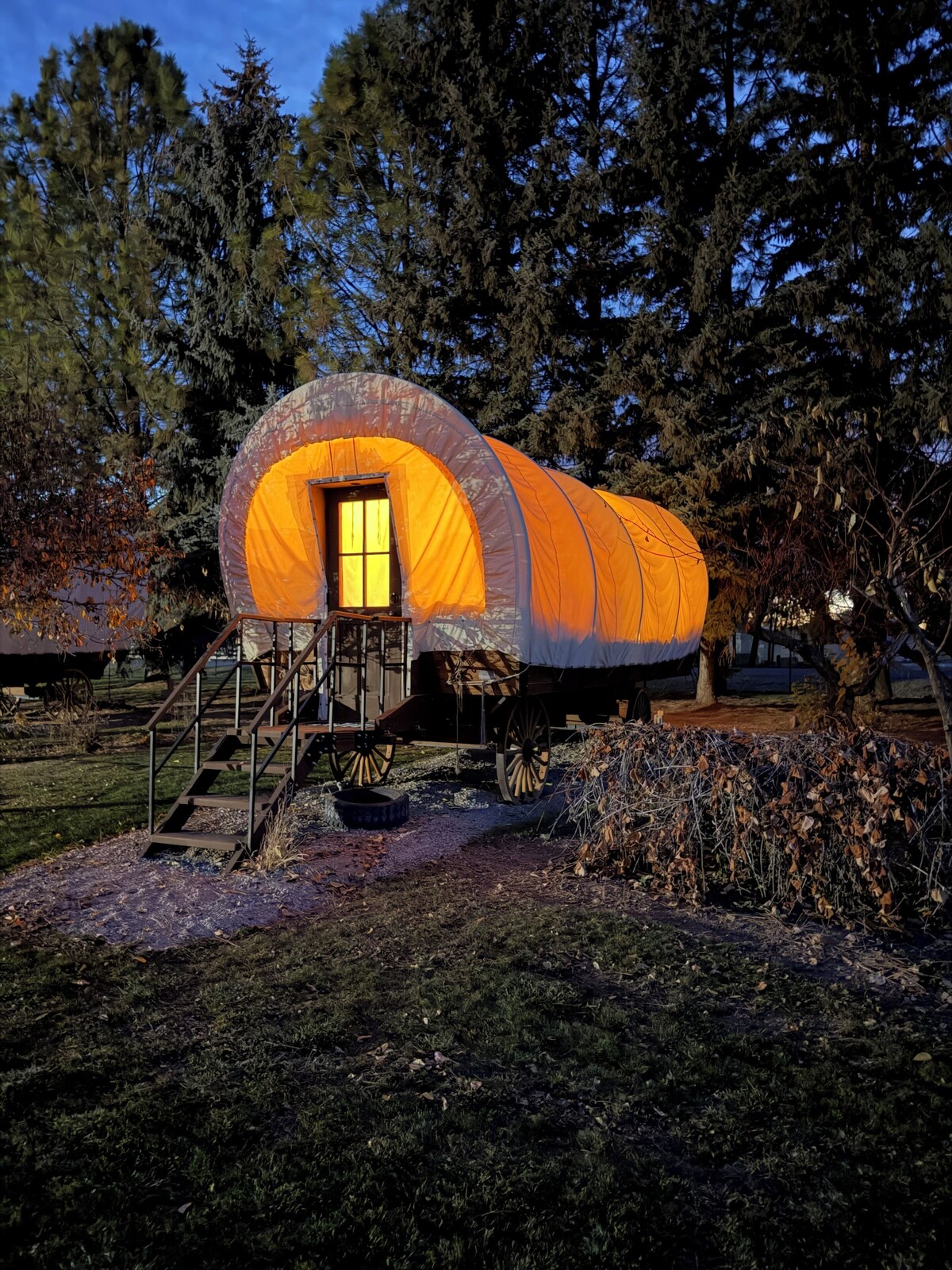 オーナーのプロフィール画像