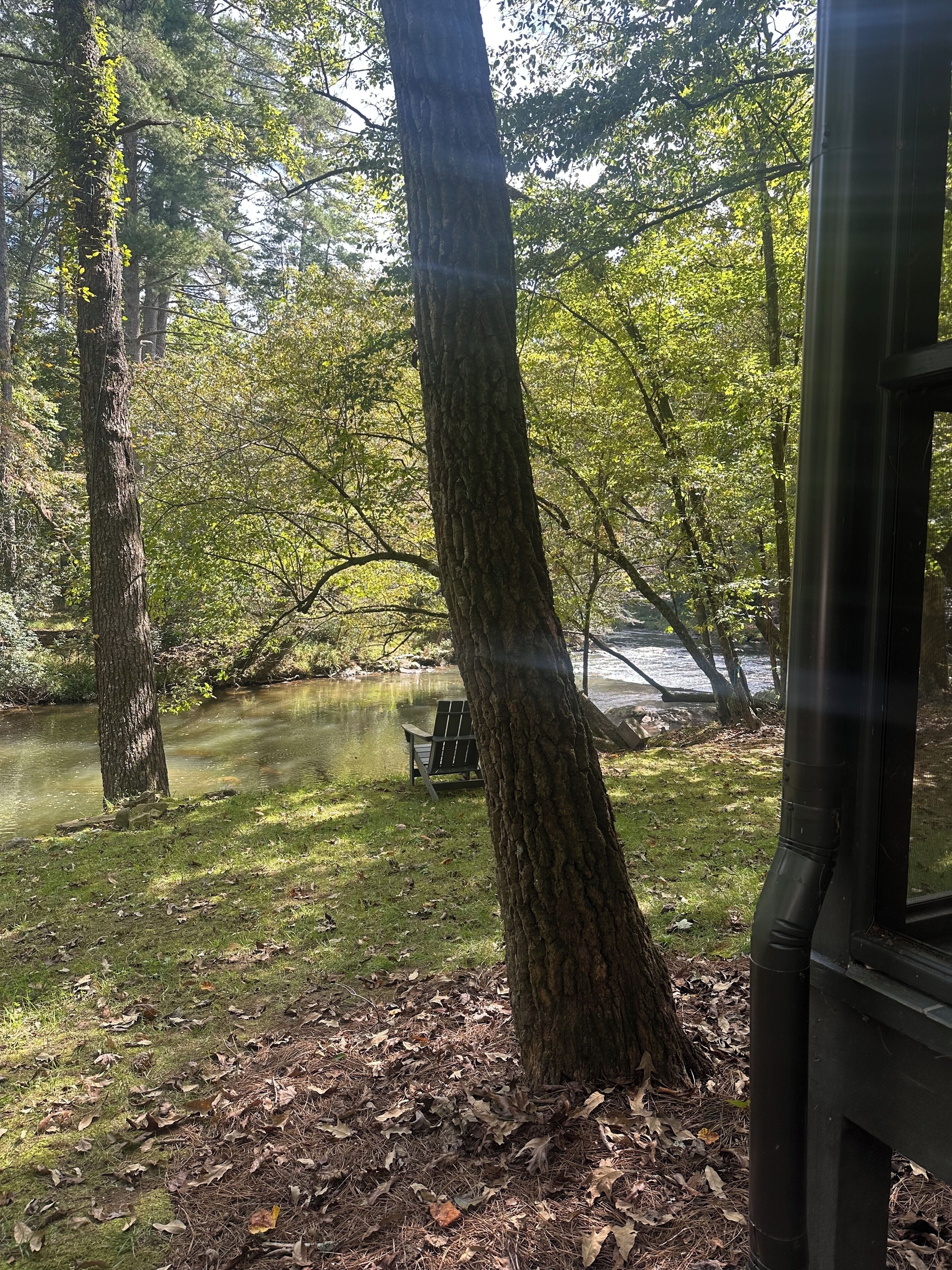 A serene outdoor area with a bench by a pond, surrounded by trees and a building structure.