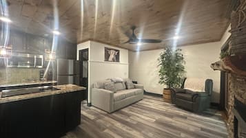 TV, fireplace, DVD player