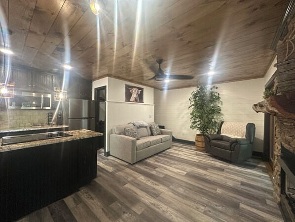TV, fireplace, DVD player