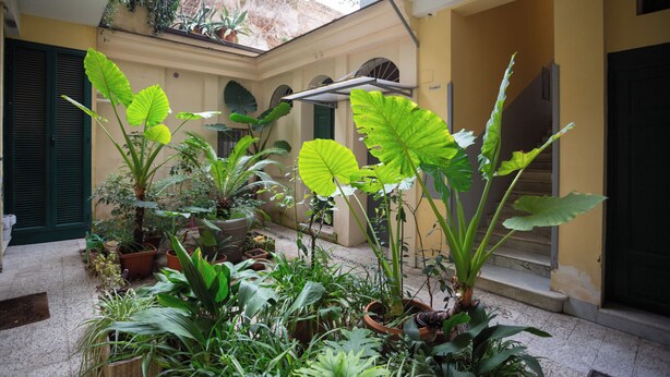 A courtyard with potted plants and a staircase leading to an upper level. - Luminous apartment with private terrace in the colosseum (Roma)