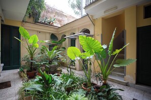 Terrain de l’hébergement 