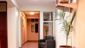 Un couloir avec une grande plante en pot, une chaise et un ventilateur de plafond.