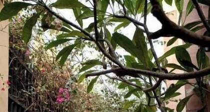 Terrific 1-bedroom villa in New Cairo City