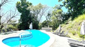 A swimming pool with lounge chairs and umbrellas, surrounded by trees. - Welcome to your tropical getaway! 6 people (Herradura)