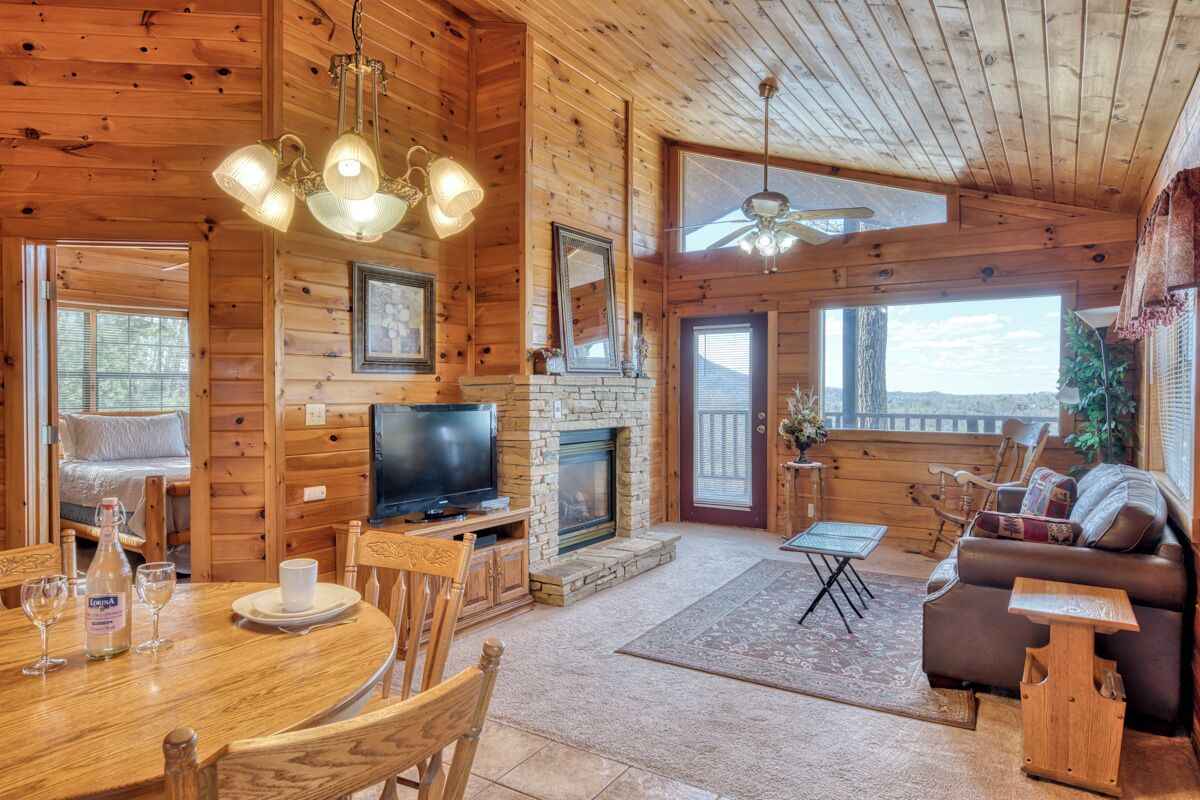 TV connectée, cheminée, lecteur de DVD