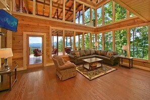 Smart-tv, pejs, videospil