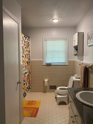 Hair dryer, towels, toilet paper