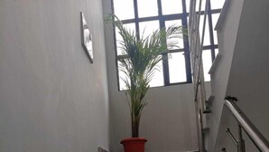 A staircase with granite steps, a red potted plant at the top, and a window with a view of the sky. - Parvati Home Stay (Varanasi)