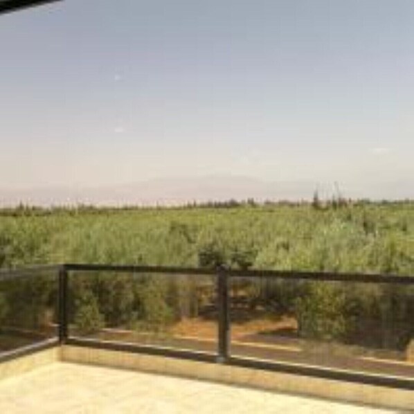 Un balcón con vistas despejadas a un campo cubierto de hierba y montañas a lo lejos.