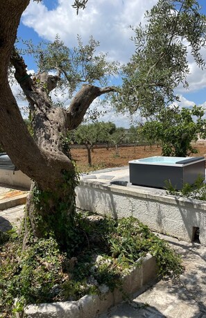 A tree with a large trunk and branches, a concrete wall, and a rectangular object on top of the wall. - Castellinaria Holiday (Castellana Grotte)
