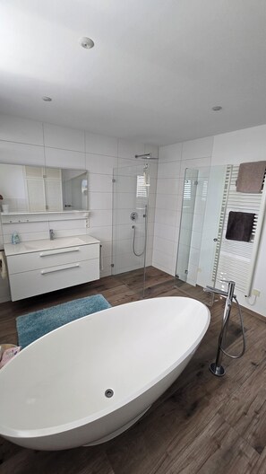 Hair dryer, towels, soap - Modern vacation apartment with enchanting lake view (Gaienhofen)