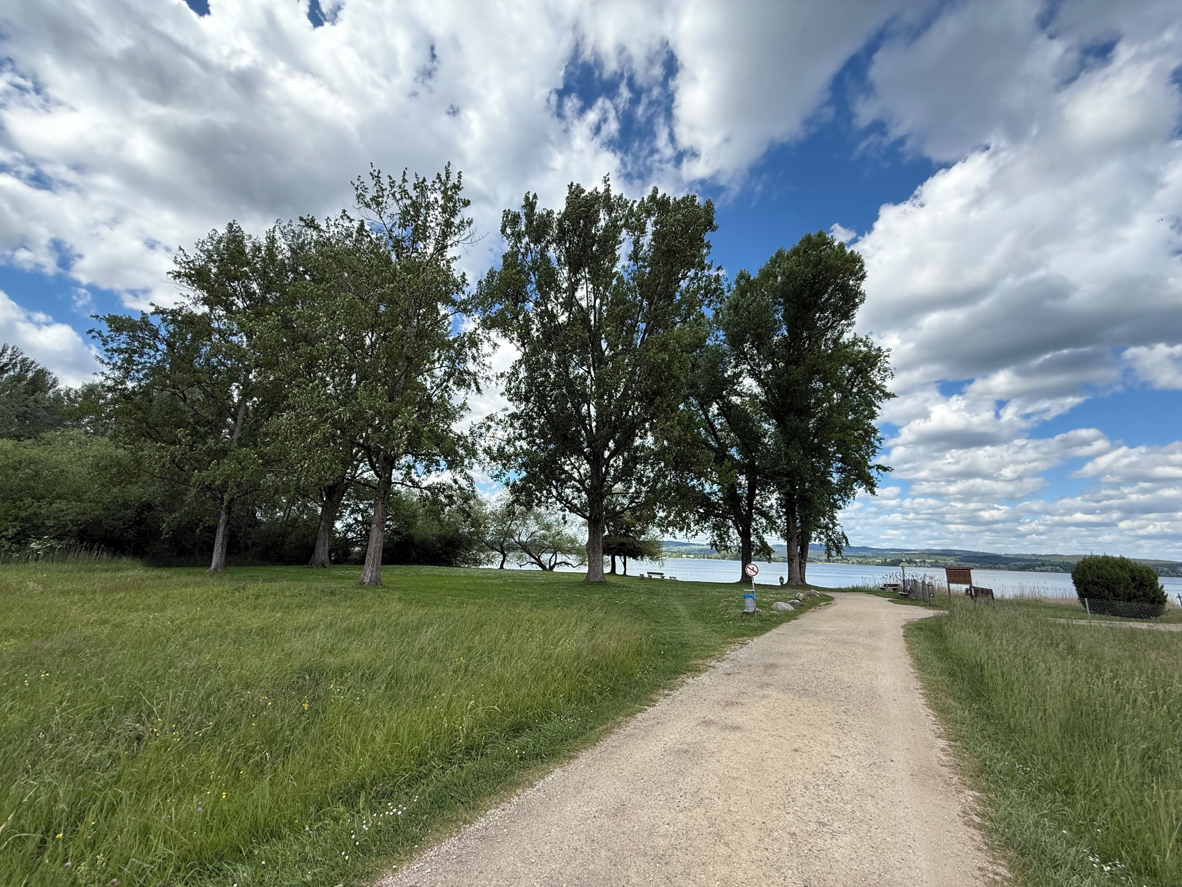 A gravel path leading to a lake with trees on either side.