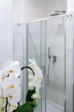 SĂšche-cheveux, bidet, serviettes fournies, savon