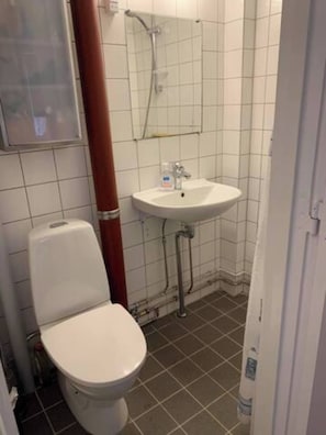 Douche, sèche-cheveux, savon