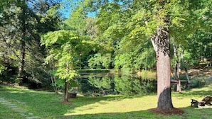 Un jardin avec un sentier en pierre, des arbres et un étang.
