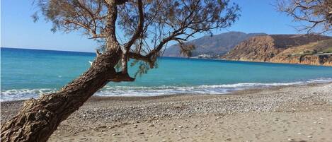 Sun loungers, beach towels