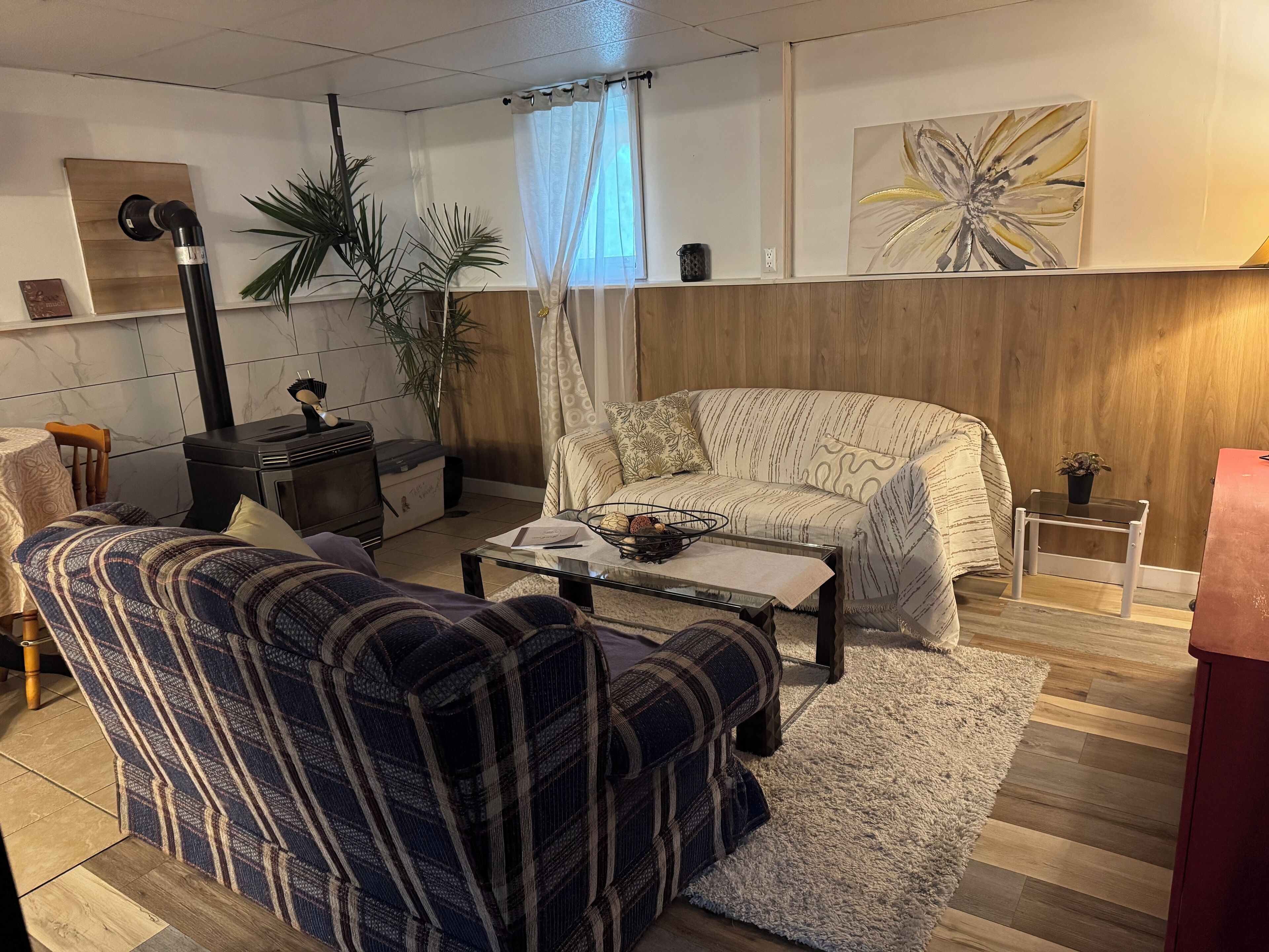 Télévision, cheminée