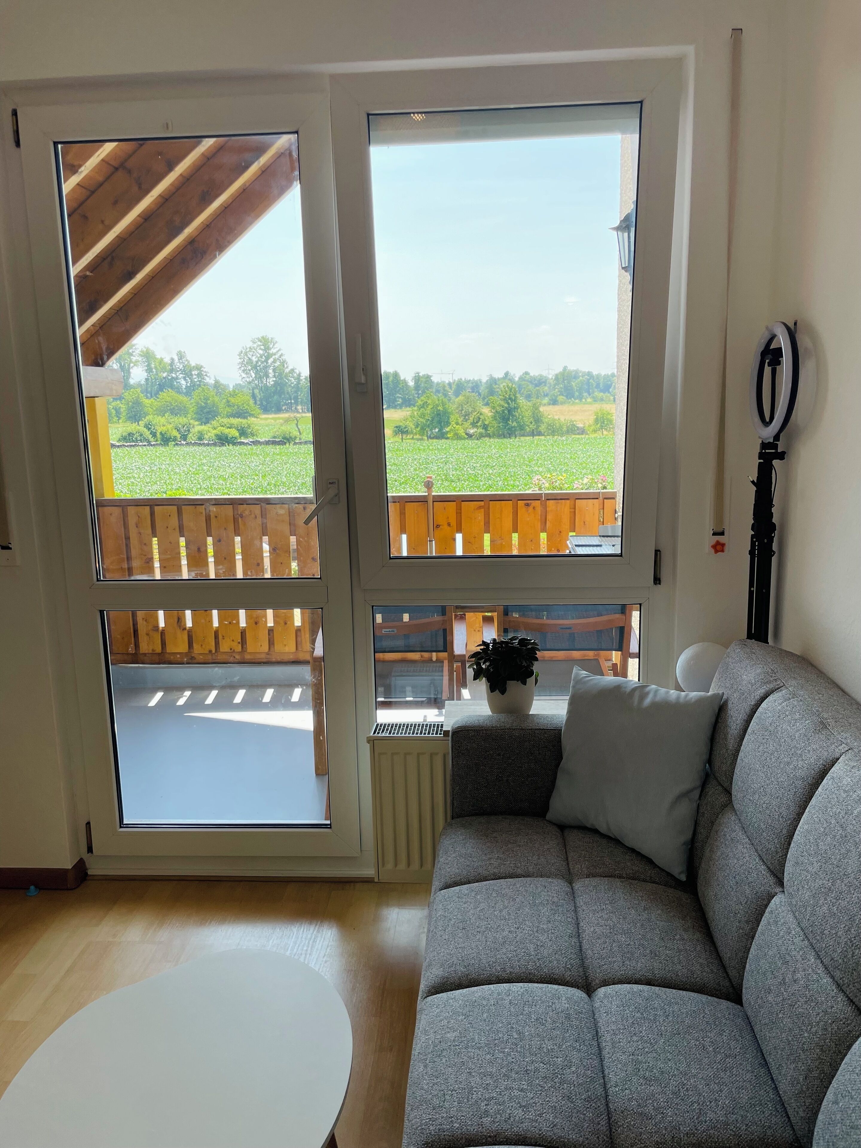 Smart TV, video games, books