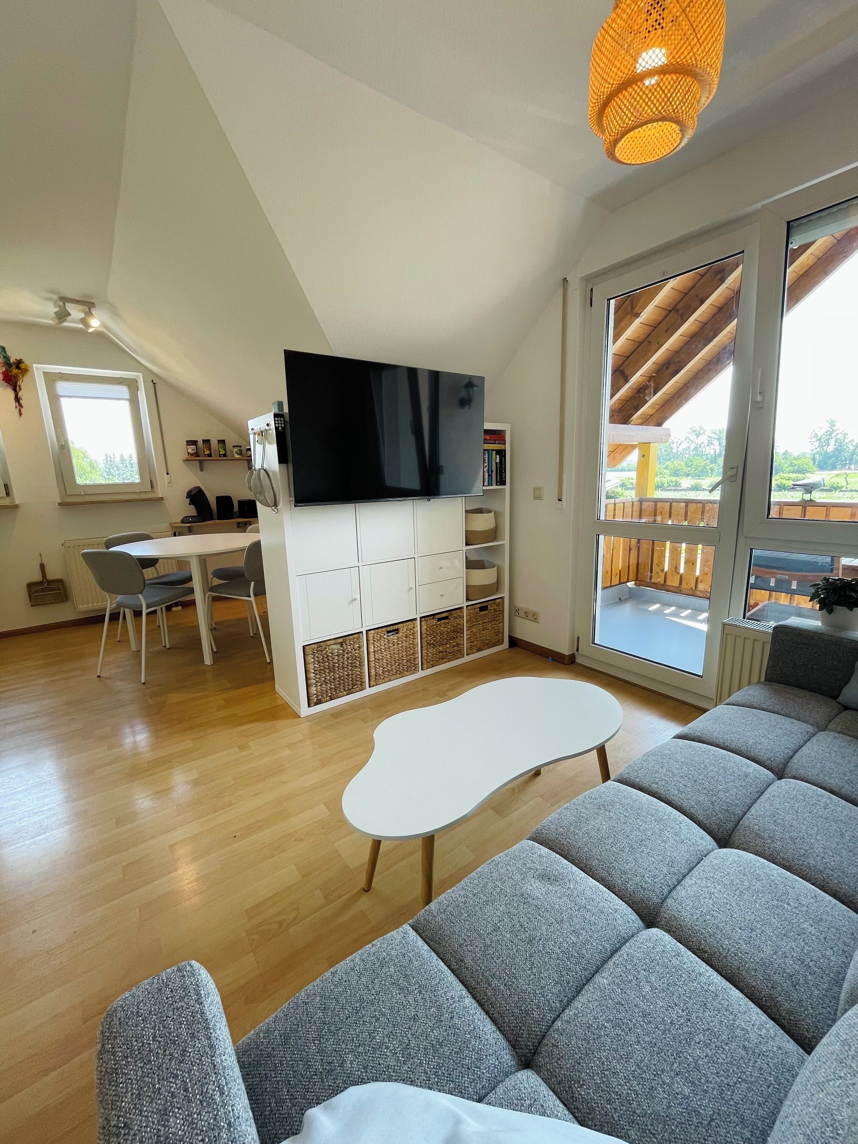 Televisor intel·ligent, videojocs i llibres 